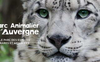 Parc animalier d&rsquo;Auvergne